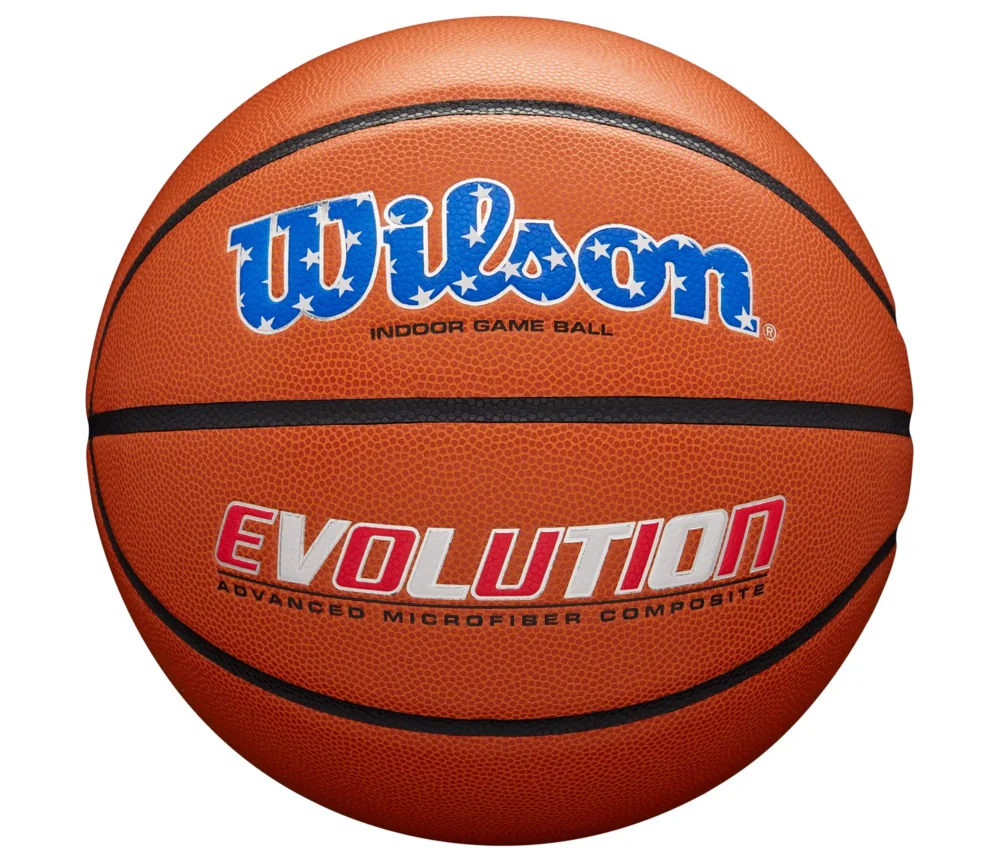 Wilson Evolution Color Game Basketball