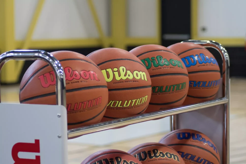 Wilson Evolution Color Game Basketball
