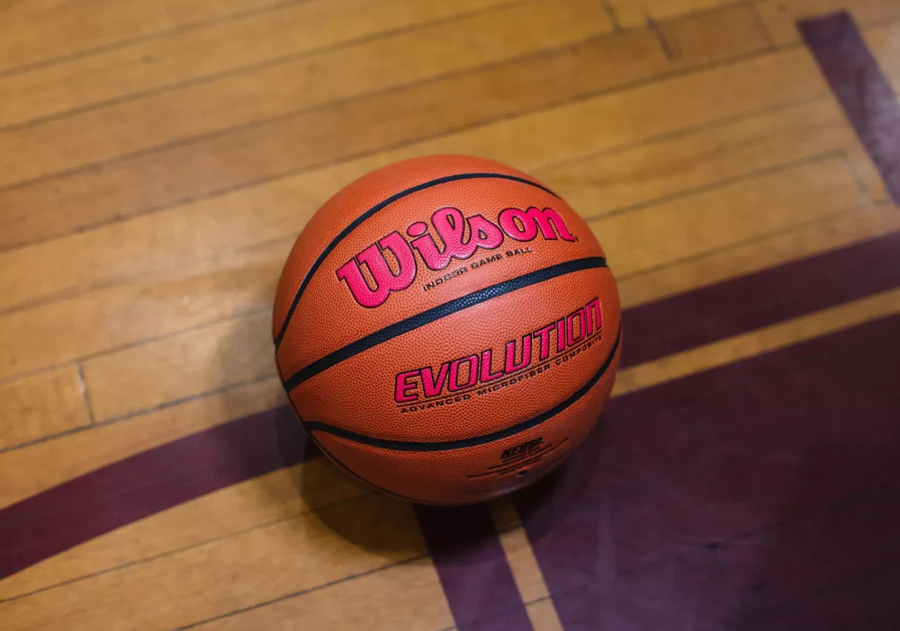 Wilson Evolution Color Game Basketball