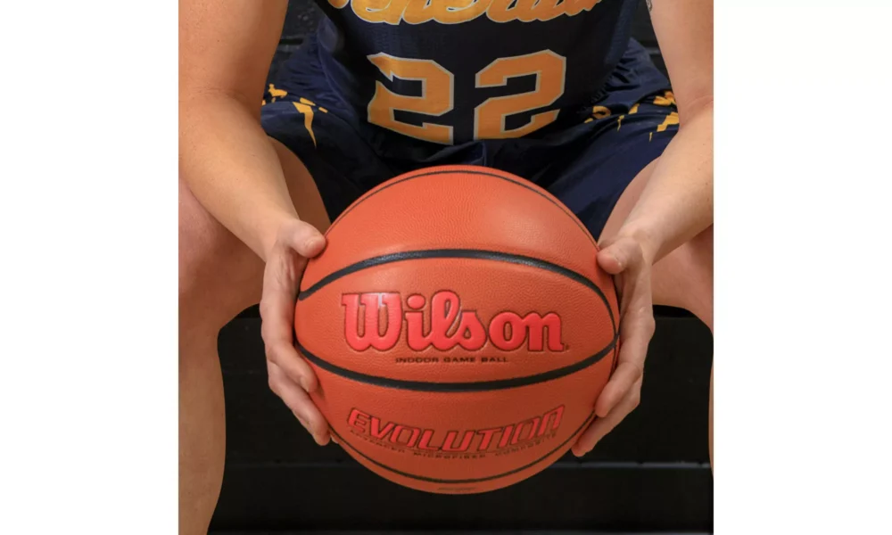 Wilson Evolution Color Game Basketball